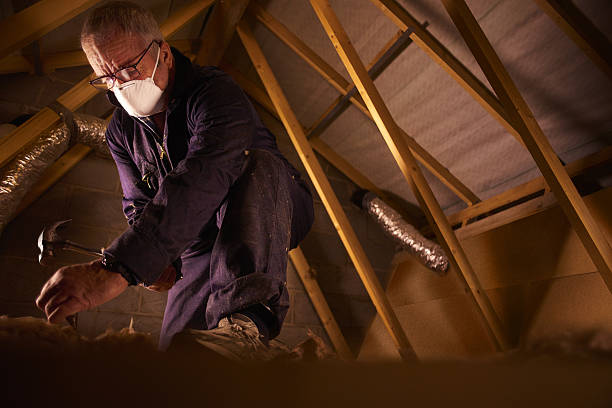 Best DIY Insulation Kits and Guidance in Thompsonville, CT